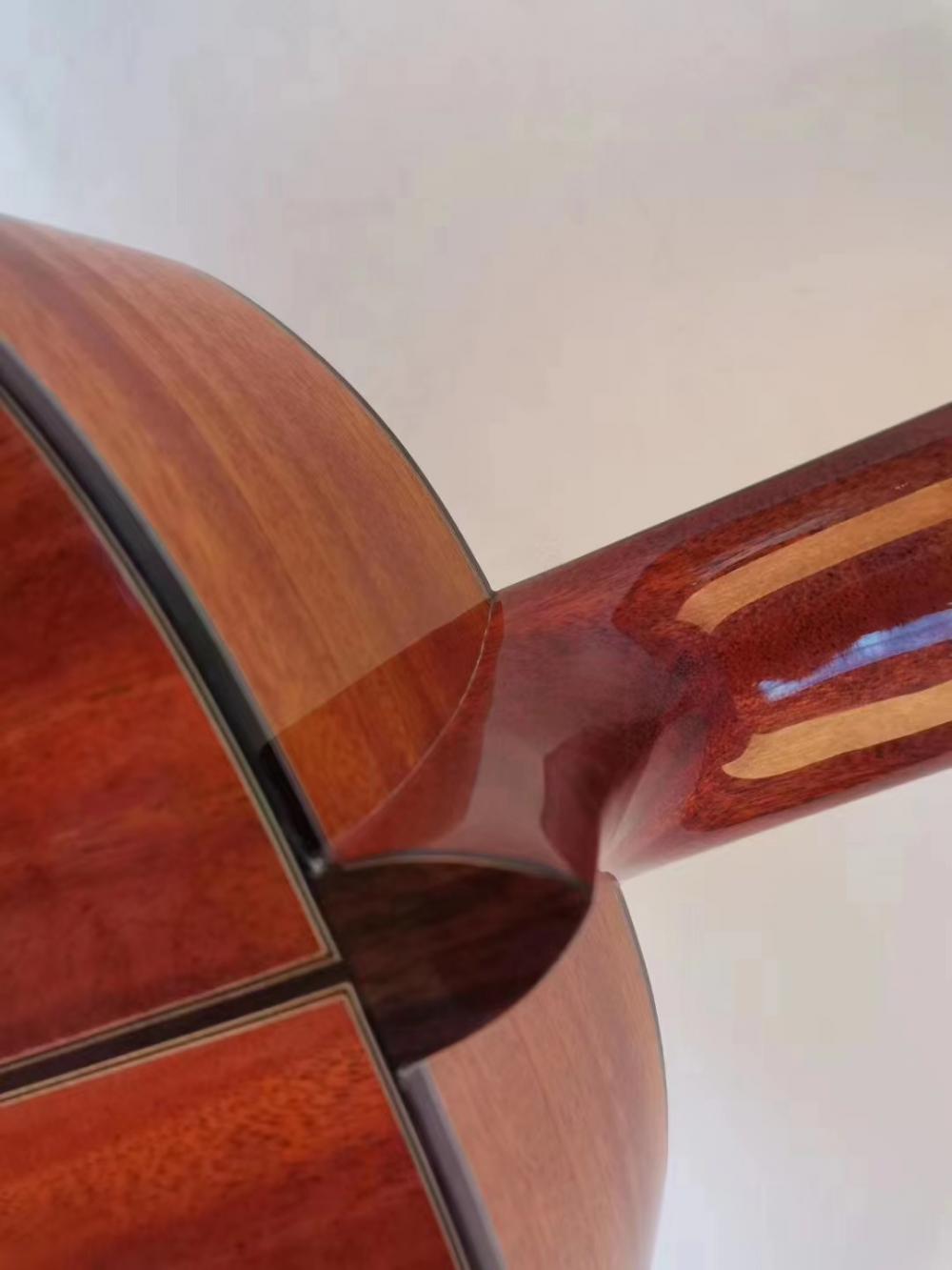 Cg830ss Classical Guitar Cg830ss Classical Guitar