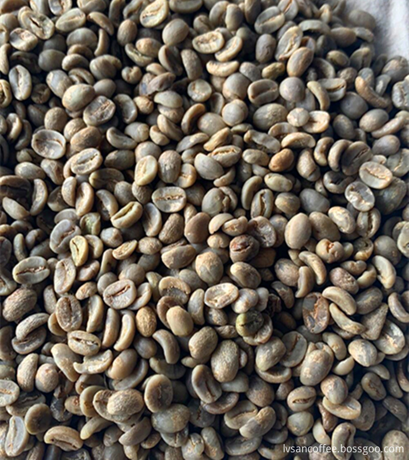 Green Coffee Beans Benefits