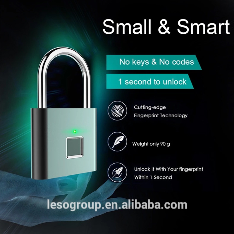 Smart Padlock For Security Doors