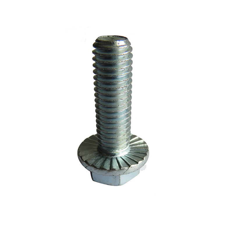 Hexagon Head Flange Bolts-3 Hexagon Head Flange Bolts-3