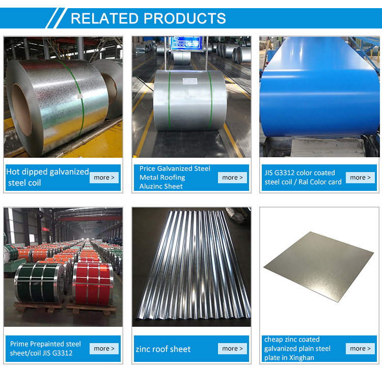 Prepainted Color Painted Galvanized Steel Coil PPGL