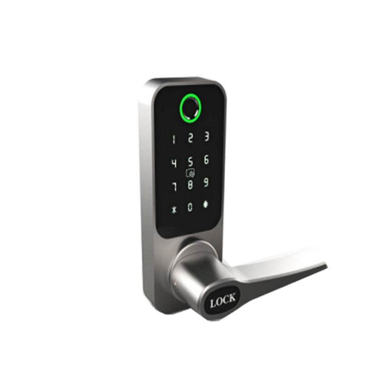 China Supplier Automatic Security Smart Door Password Fingerprint Lock For Home