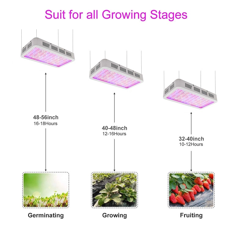 Double Chips Full Spectrum with UV IR for Greenhouse Indoor Plant Veg and Flower 1200w LED Grow Light