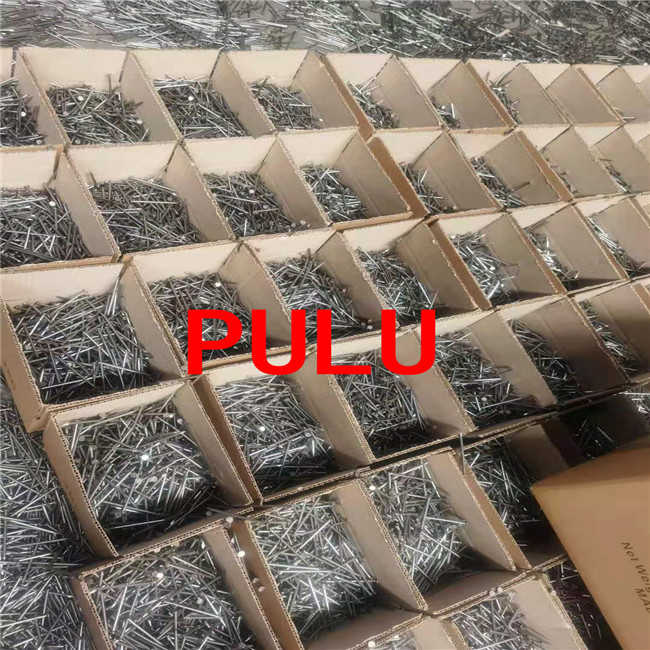 Construction building Q195 top quality iron wire nails made in Hebei