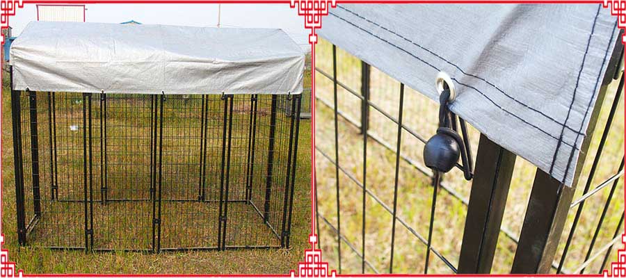 6x4x8 dog run cage