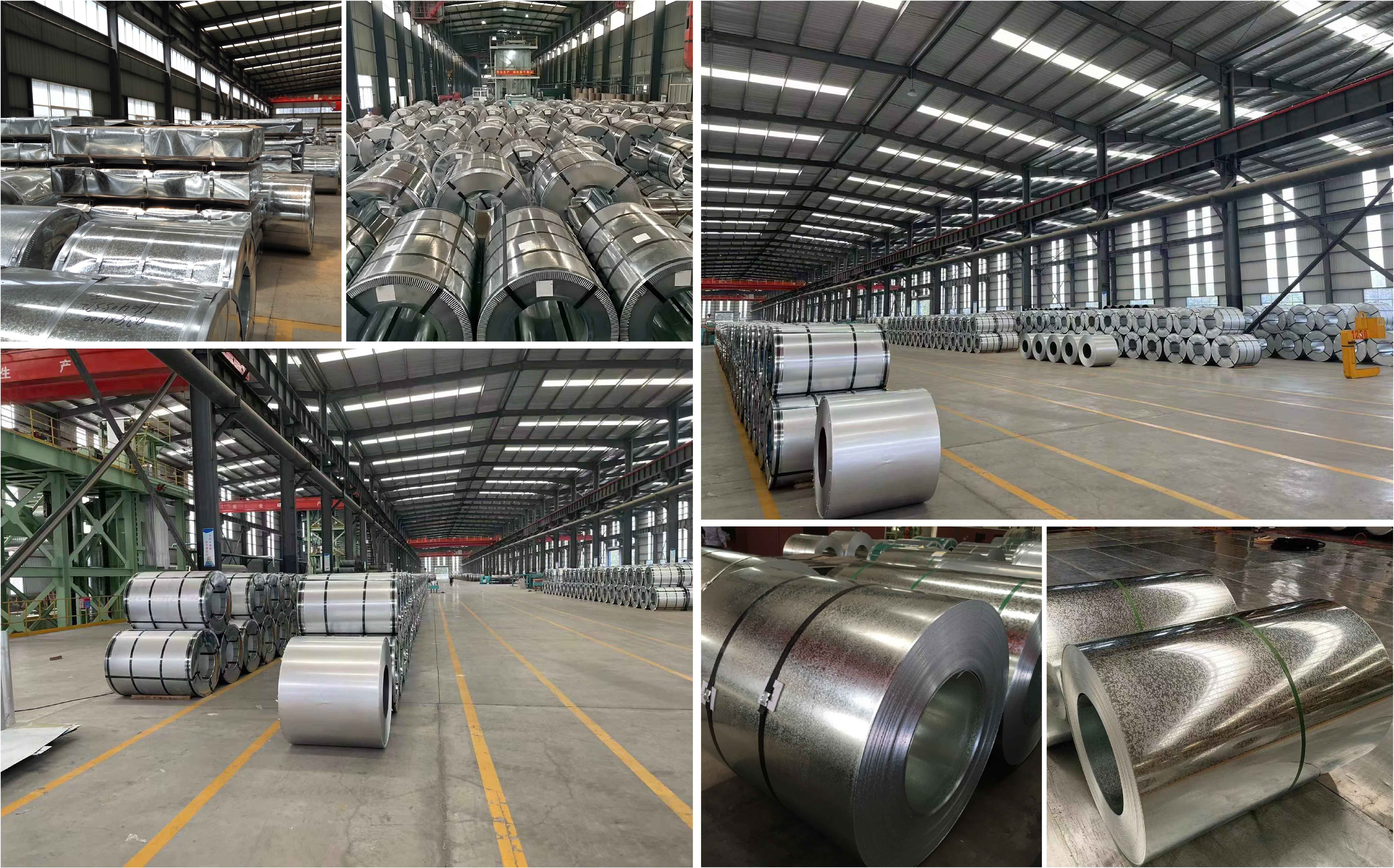 Galvanized Steel Coil Galvanized Steel Coil