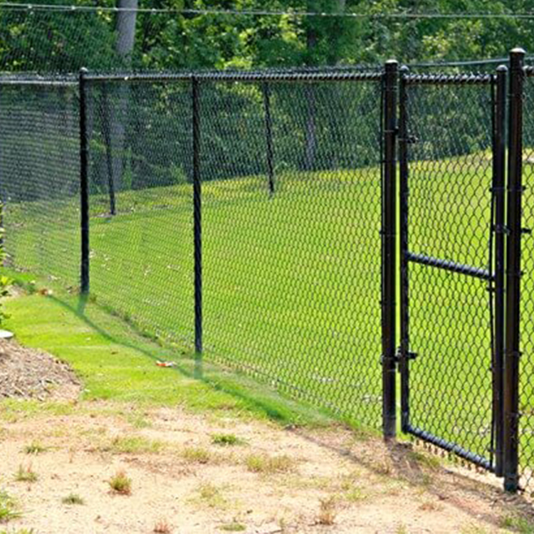 PVC Coated Diamond Fence