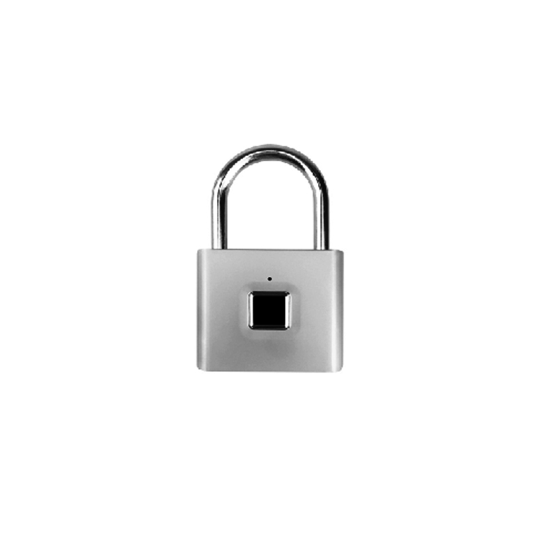 Smart Padlock For Security Doors