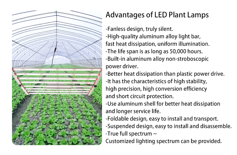 new hydroponic system indoor full spectrum 600W 650W 1000W best plant grow lights led