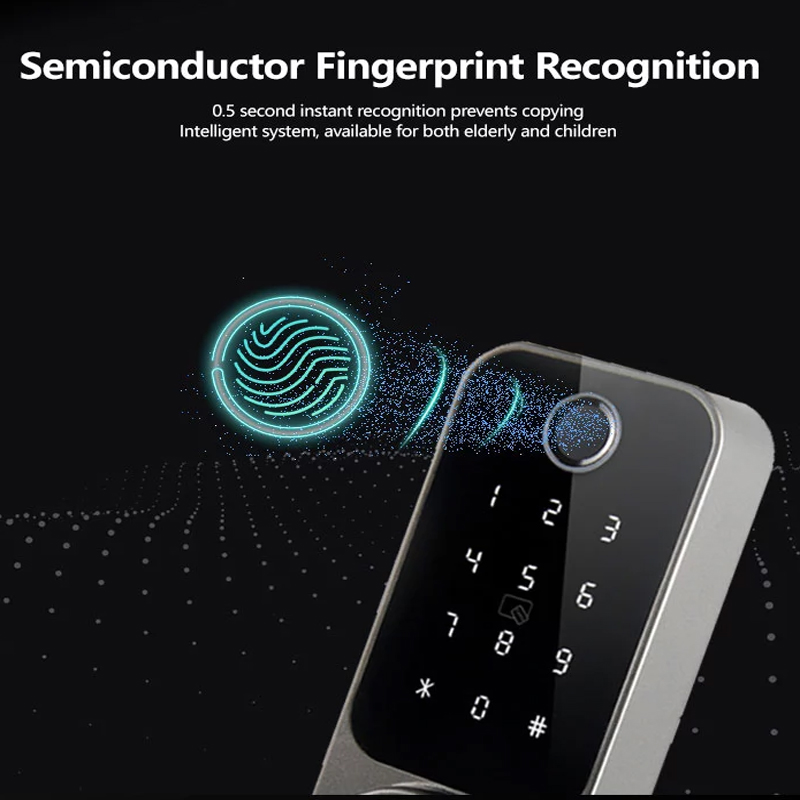 China Supplier Automatic Security Smart Door Password Fingerprint Lock For Home