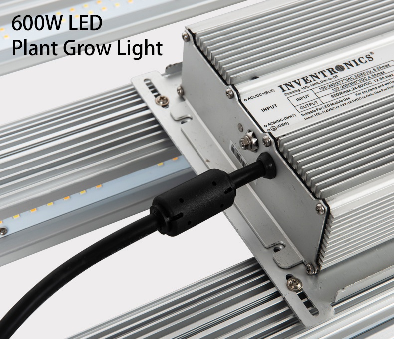 new hydroponic system indoor full spectrum 600W 650W 1000W best plant grow lights led