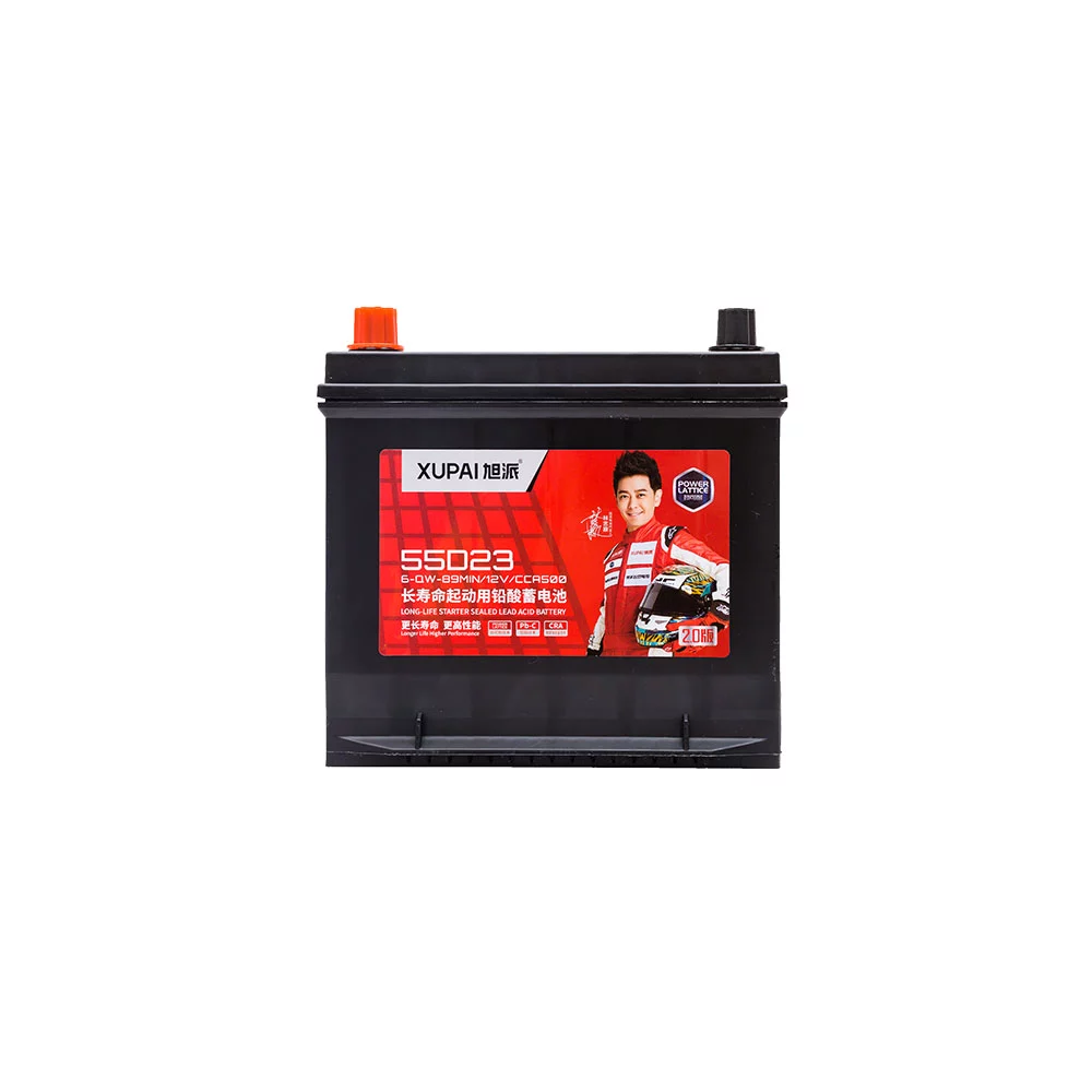 Multifunctional 6-QW-89MIN 55D23R/L Auto For Peugeot car vrla battery