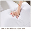 Canasin High Quality 100%  micro fiber Filling Hotel Pillow