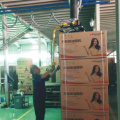 Vacuum Lifter for Cartons Application