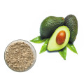 Antioxidants Fresh Avocado Fruit Extract Powder