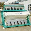 Sonnenblumenkerne Farbe Sorter