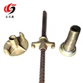 Ductile Iron Casting for formwork tie rod--Disk Nut