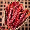 Authentic Food Temoreing Erjingtiao Chili seco pimentão vermelho
