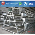 Four Tiers Full Automatic Layer Cage