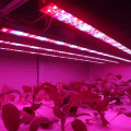 Hydroponic LED Grow Light  Strip