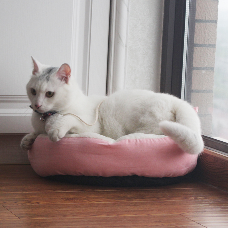 Pet Bed