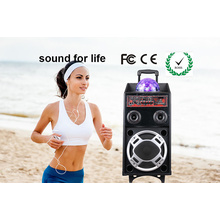 Hot Selling 15 Inches Plastic Trolley DJ Speaker with Battery