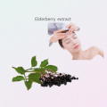 Black Elderberry Extract /Elderberry Fruit Extract Powder