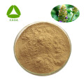 Prunella Spike Extract Powder Health Care Health Care