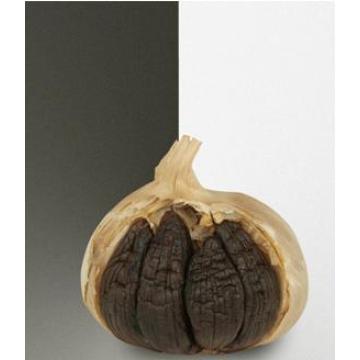 5.0cm Black Garlic for Exporting