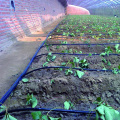 Drip Irrigation Drip Tape for Agriculture