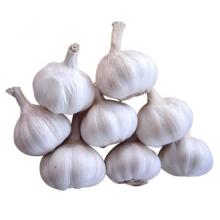 Hot Sale Fresh White Garlic