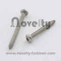 Stainless Steel Pan head Tapping Screw