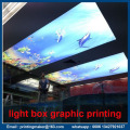 Customized Backlit Poster Graphics for Promotion