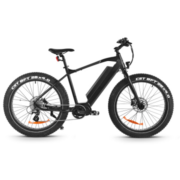 FH500 vollgefedertes E-Bike mit Fettreifen