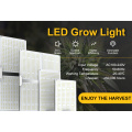The Smart Garden LED Grow Light
