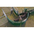 Heavy duty Cattle forcing yard