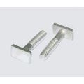 Stainless Steel T Head Bolt