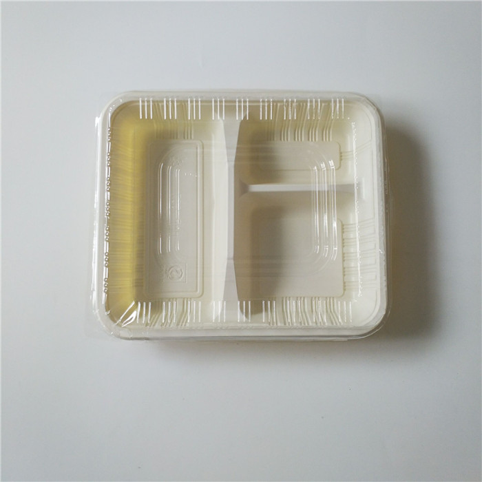 Blister Plastic Bento Tray