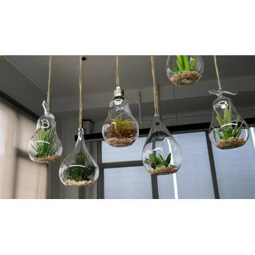 glass terrarium plants with hole Hanging Vase