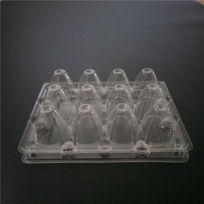 12 Cells Quail Eggs Container