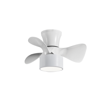 Ceiling Fan with Light