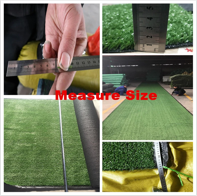 Artificial Grass 1