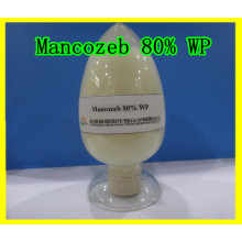 Mancozeb (80% WP)