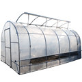 Economic PE Film Hot sale tunnel greenhouse