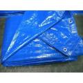 Blue PE Tarpaulin Sheet