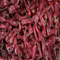 Yidu Chilli for Seasoning and Spices