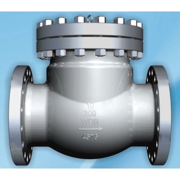 Swing Check Valve