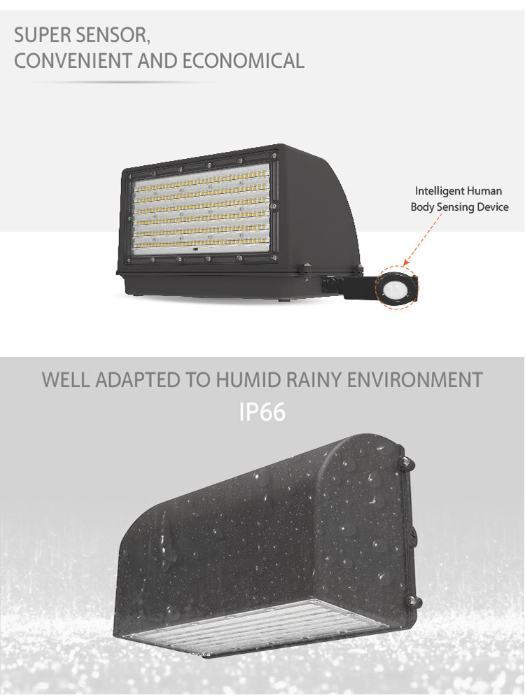 Outdoor Commercial LED Light