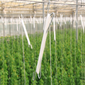 Greenhouse Plant Hooks  Supports With Twines
