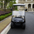 2 Sitze ezgo Lithiumbatterie Powergolfwagen